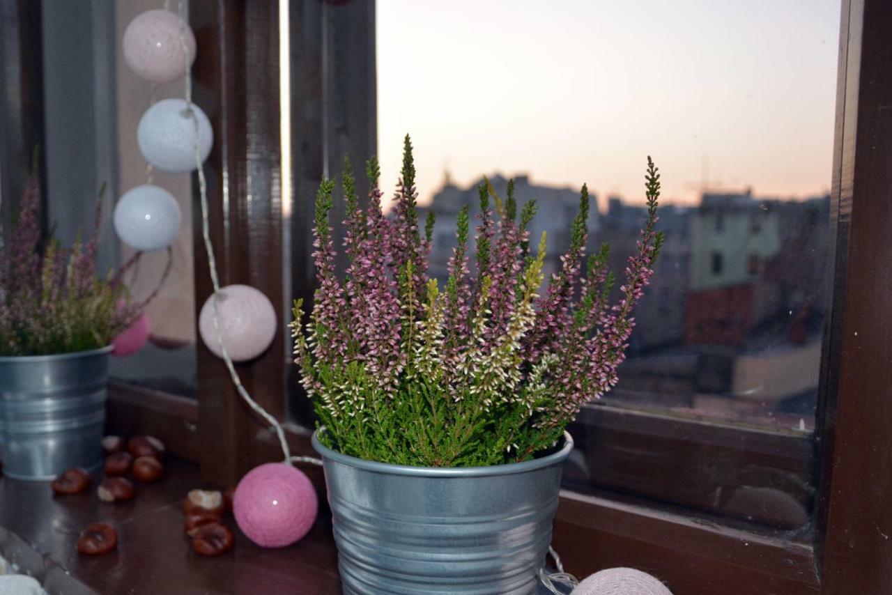 Apartament Bartolomeo Stary Toruń Dış mekan fotoğraf