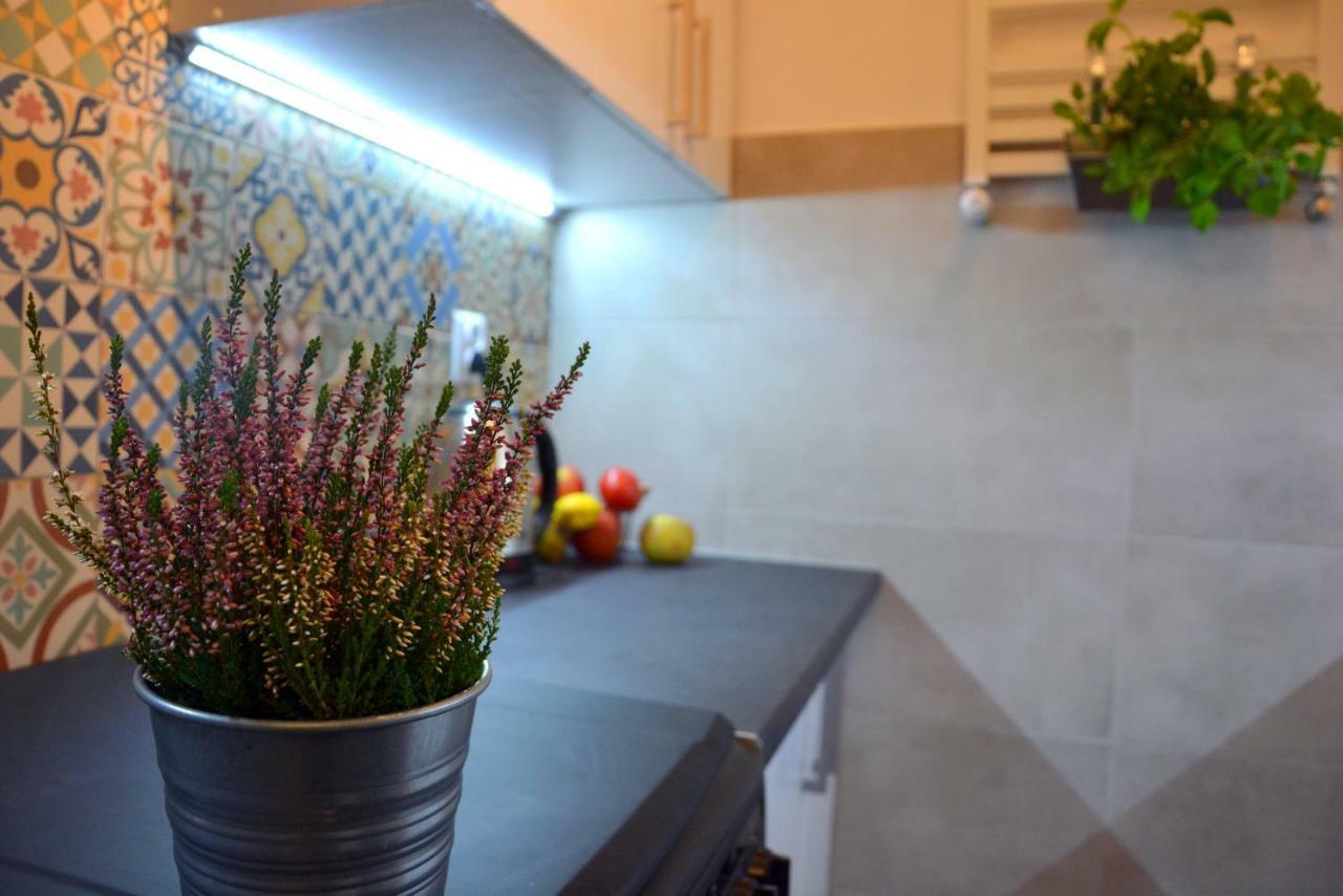 Apartament Bartolomeo Stary Toruń Dış mekan fotoğraf